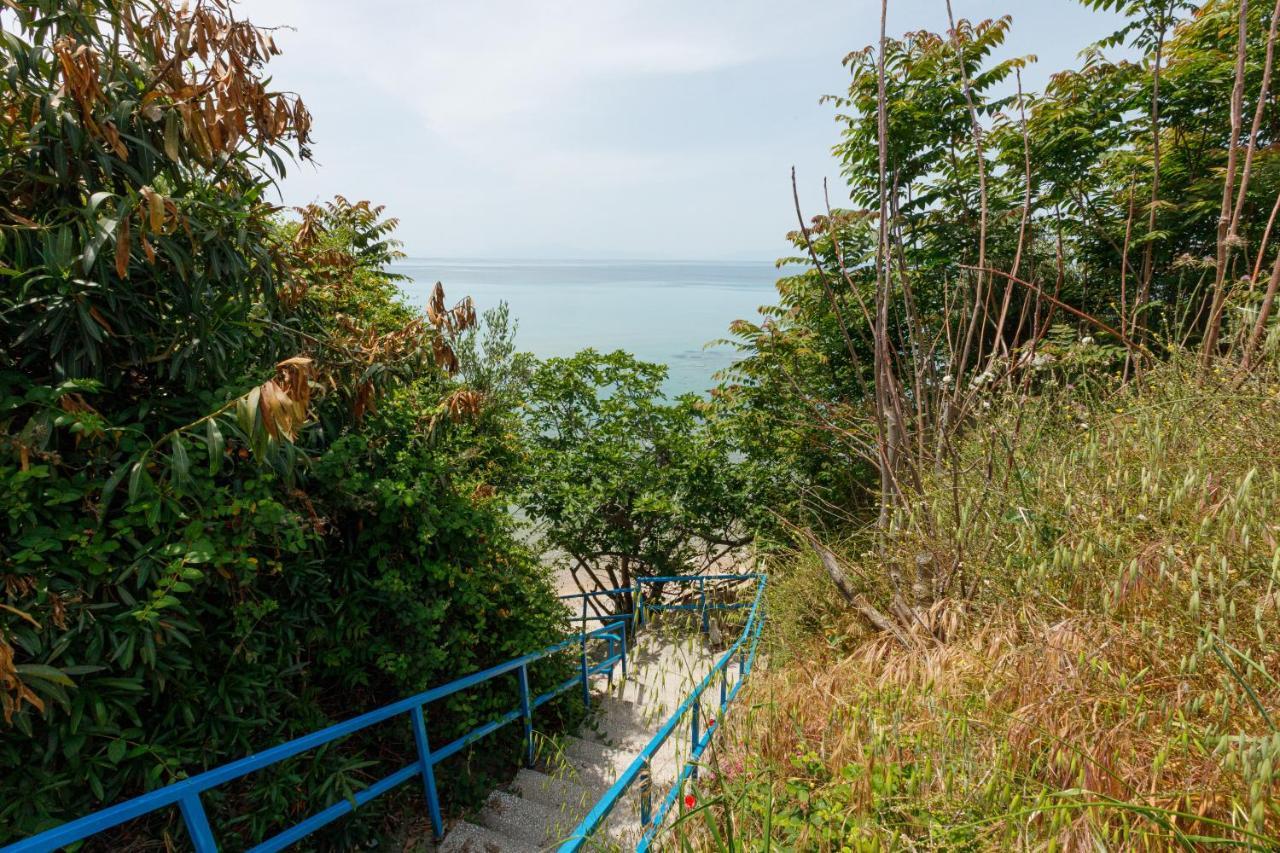 Lofos Apartments In Vergia Halkidiki Sozopoli Eksteriør billede